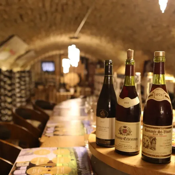 Quatre bouteilles de vin sur un comptoir dans une cave à vin éclairée, avec des étagères remplies de bouteilles en arrière-plan